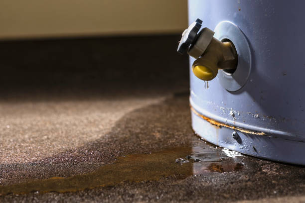 Best Basement water damage restoration  in Homewood, AL
