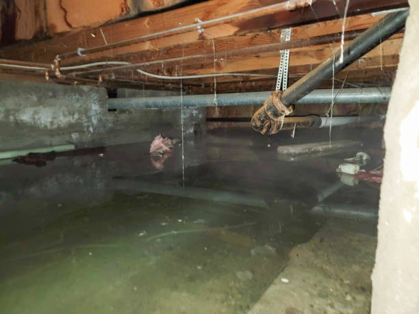Sewage cleanup and water damage restoration in AL