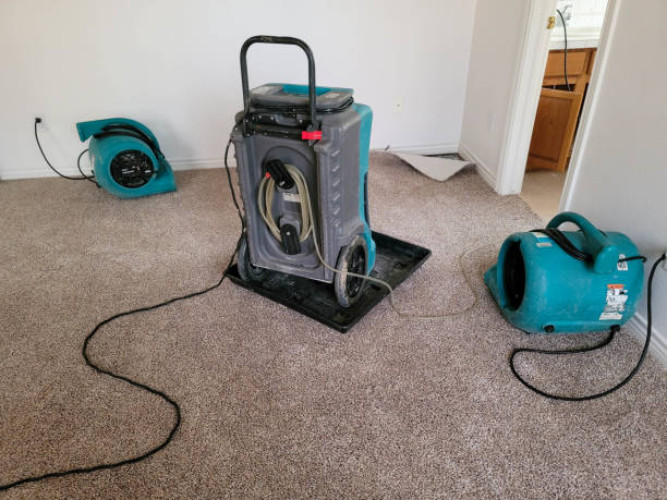 Best Water damage restoration insurance claims  in Homewood, AL
