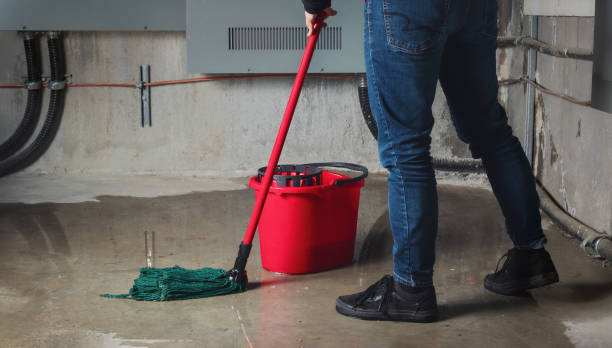 Best Water damage restoration near me  in Homewood, AL