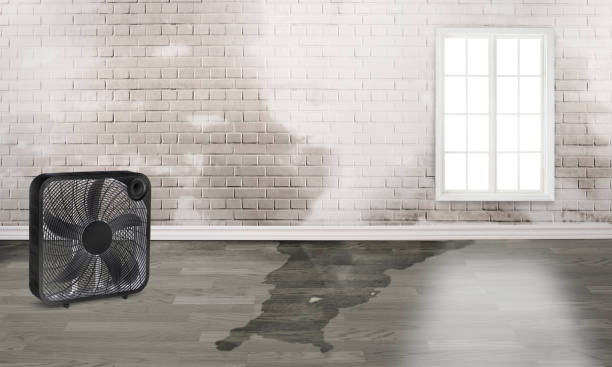 Best Commercial water damage restoration  in Homewood, AL
