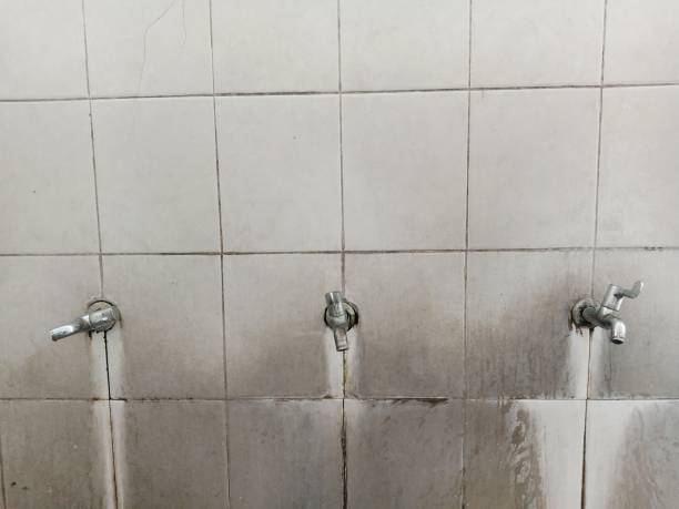 Best Water damage cleanup near me  in Homewood, AL
