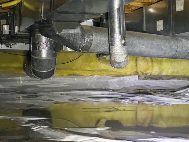 Best Flood restoration services  in Homewood, AL