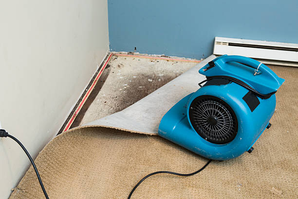 Best Water damage restoration specialists  in Homewood, AL